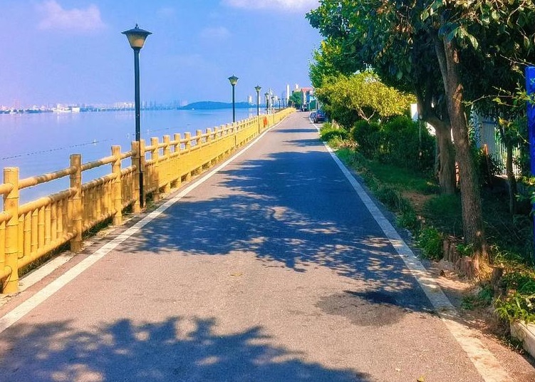 武汉适合休养的地方推荐：东湖绿道与汤逊湖湿地